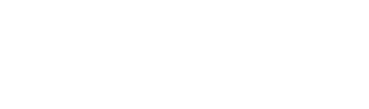 fraud logo head